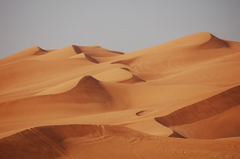 dubai, desert, sand-2762164.jpg